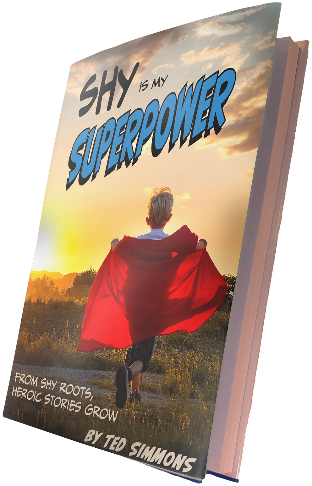 Shy is my Superpower 3d book cover